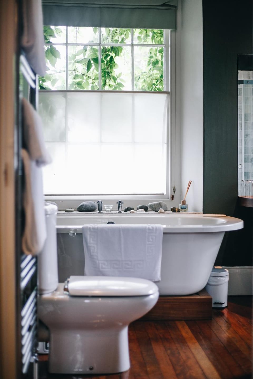 Llys Meddyg Hotel in Wales