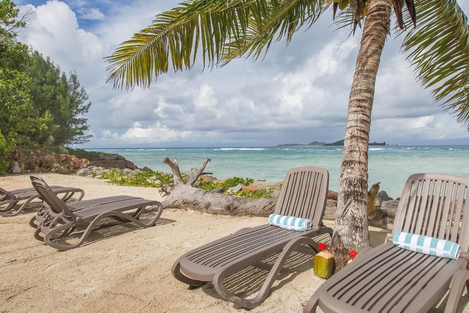 Beach, Sea view, sunbed