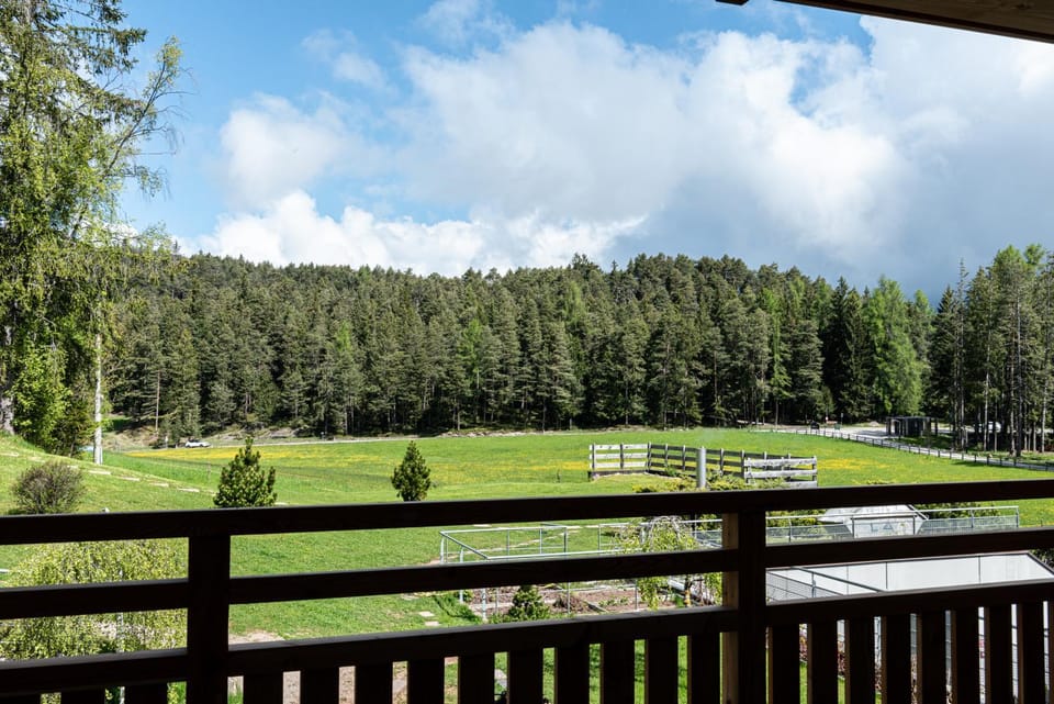Hotel Pinei Hotel in Trentino-South Tyrol