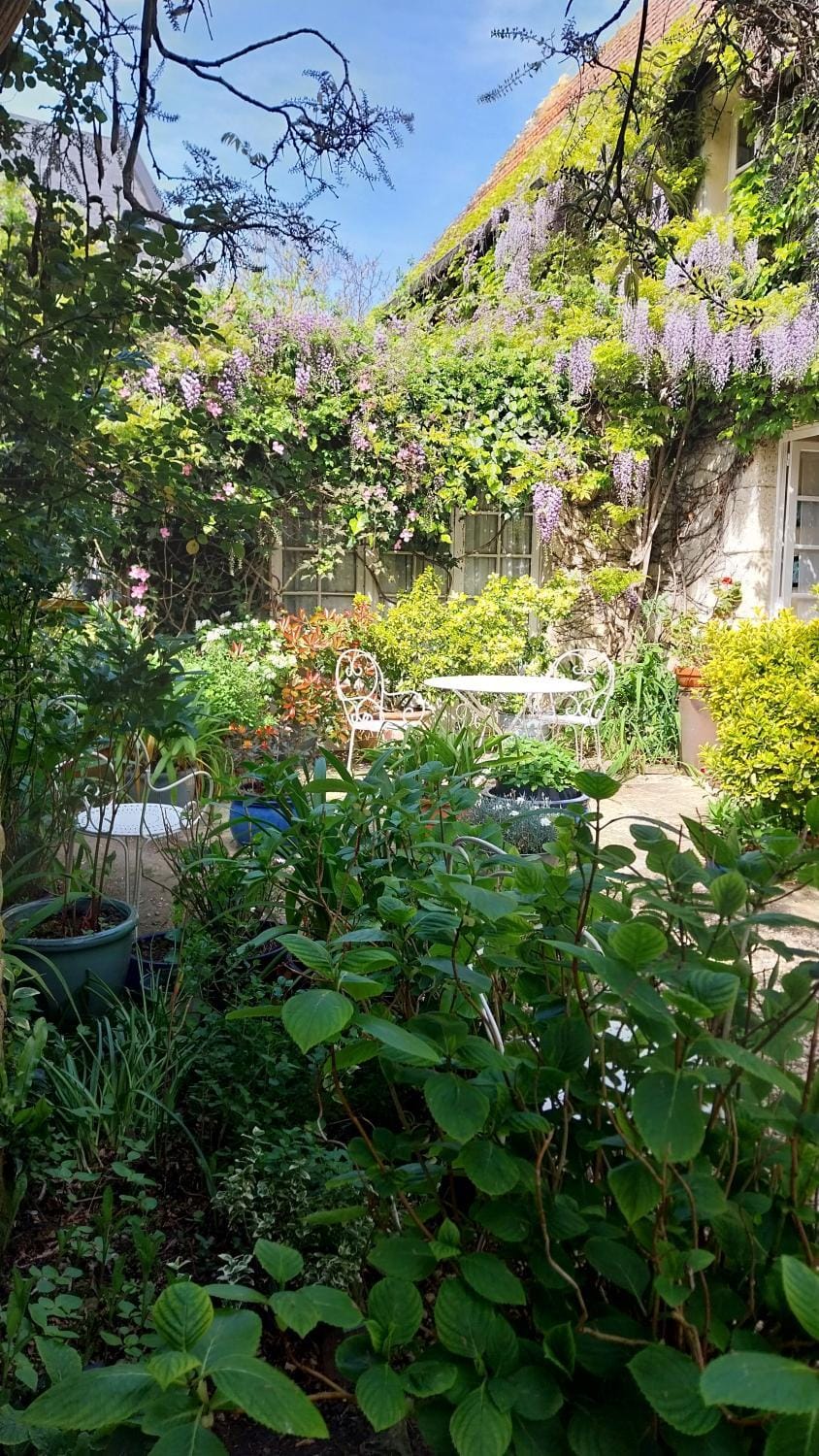 la glycine Bed and Breakfast in Normandy
