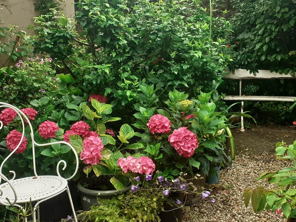 la glycine Bed and Breakfast in Normandy