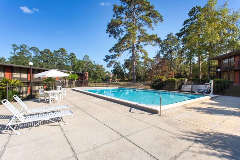 On site, Pool view, Swimming pool