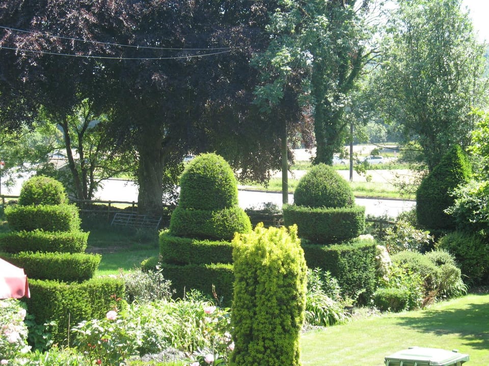 Natural landscape, Garden, Garden view
