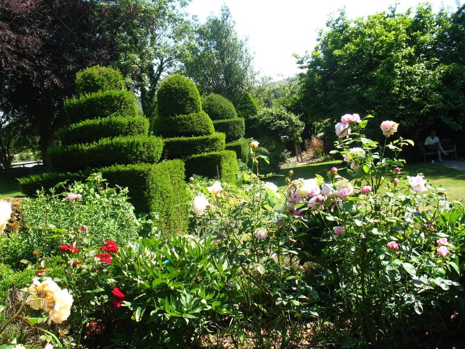 Natural landscape, Garden, Garden view