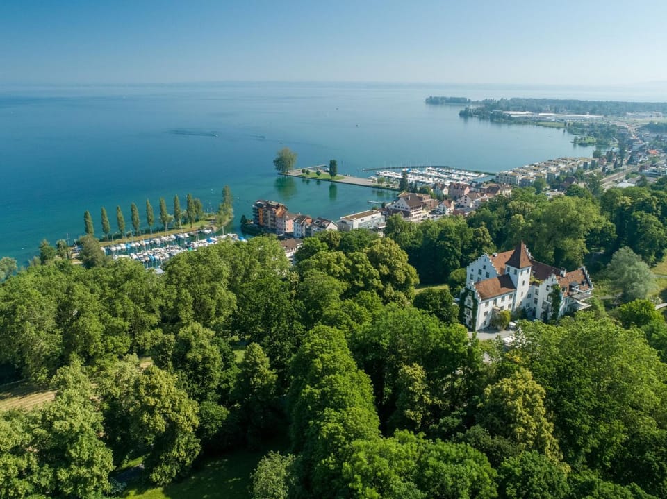 Bird's eye view, Lake view