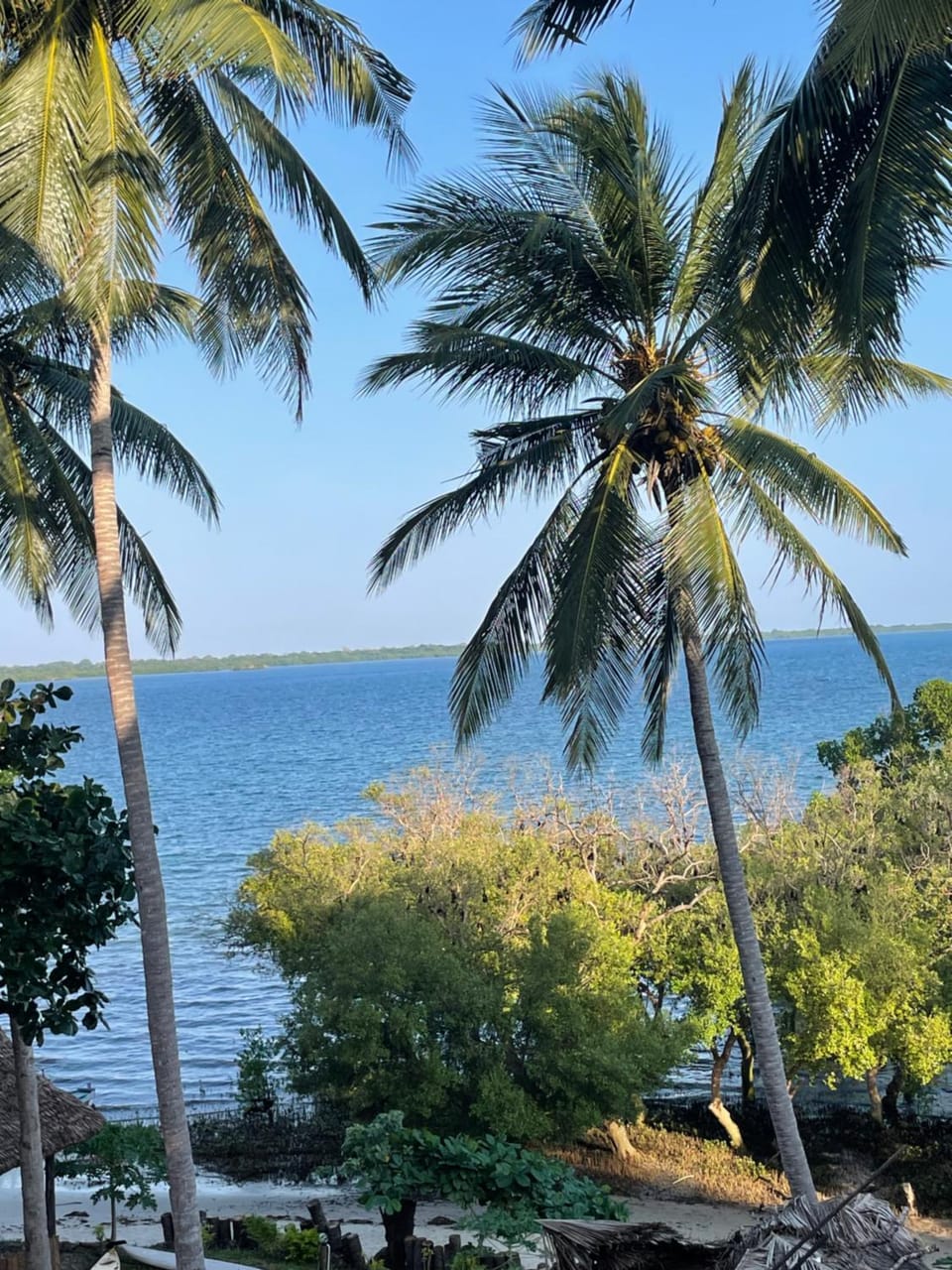 Mafia Beach Bungalows sea view Bed and Breakfast in Tanzania