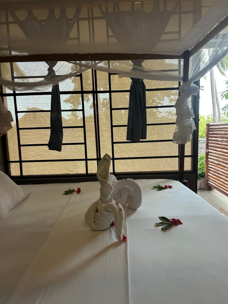 Mafia Beach Bungalows sea view Bed and Breakfast in Tanzania