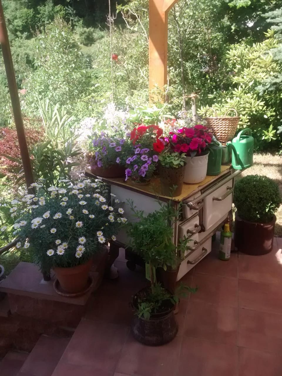 Summer, Garden