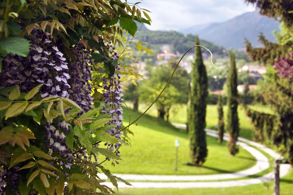 Garden, Garden view