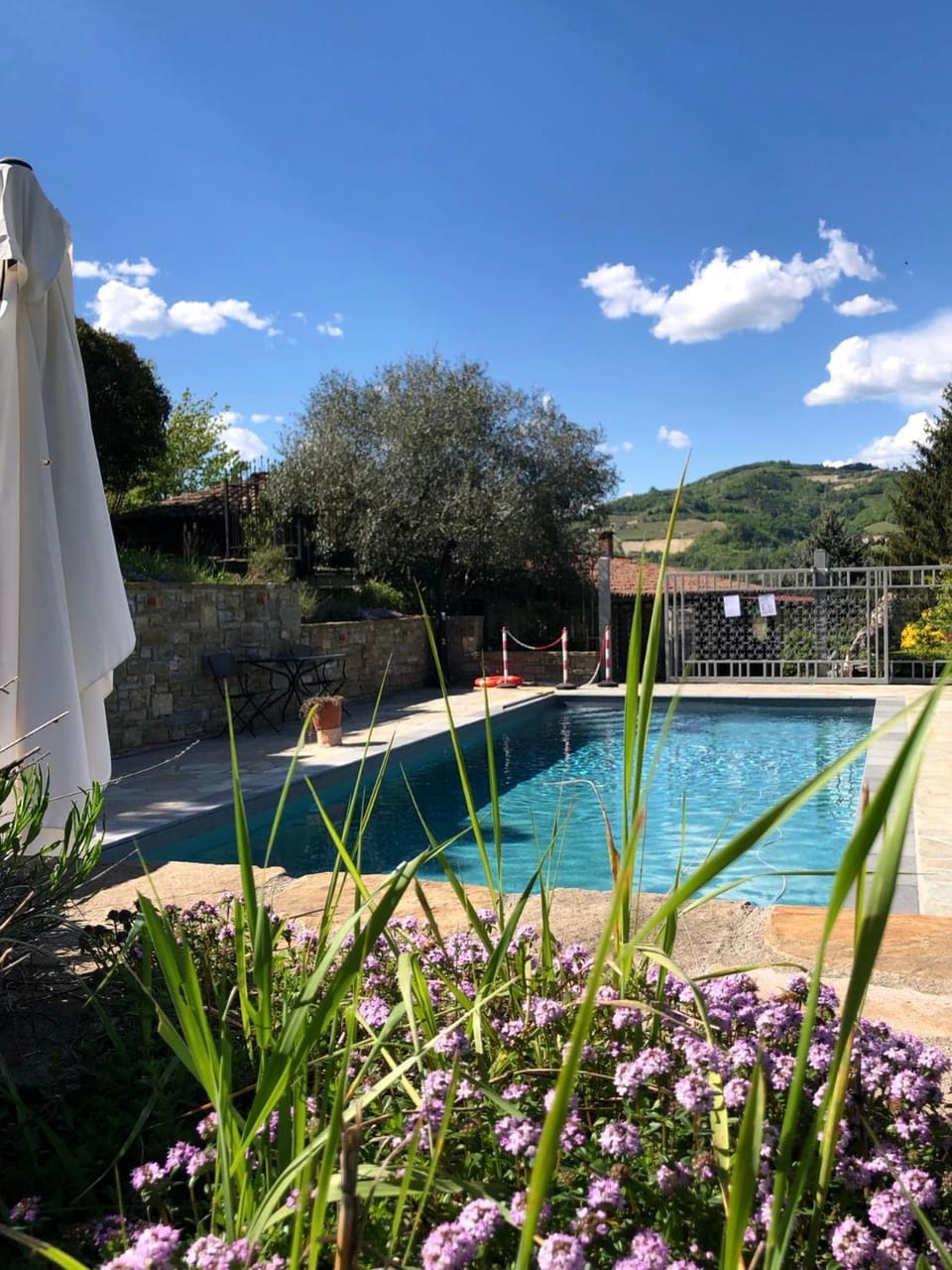 Spring, Natural landscape, Garden, Garden view, Pool view, Swimming pool, sunbed