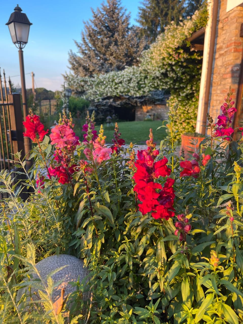Spring, Garden, Garden view
