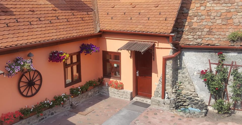 Pension Ela Bed and Breakfast in Sibiu