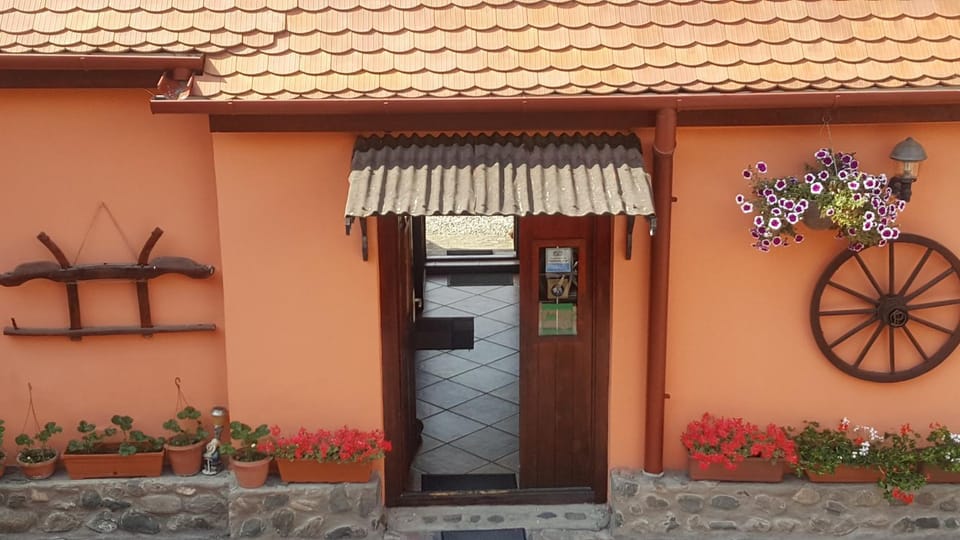 Pension Ela Bed and Breakfast in Sibiu