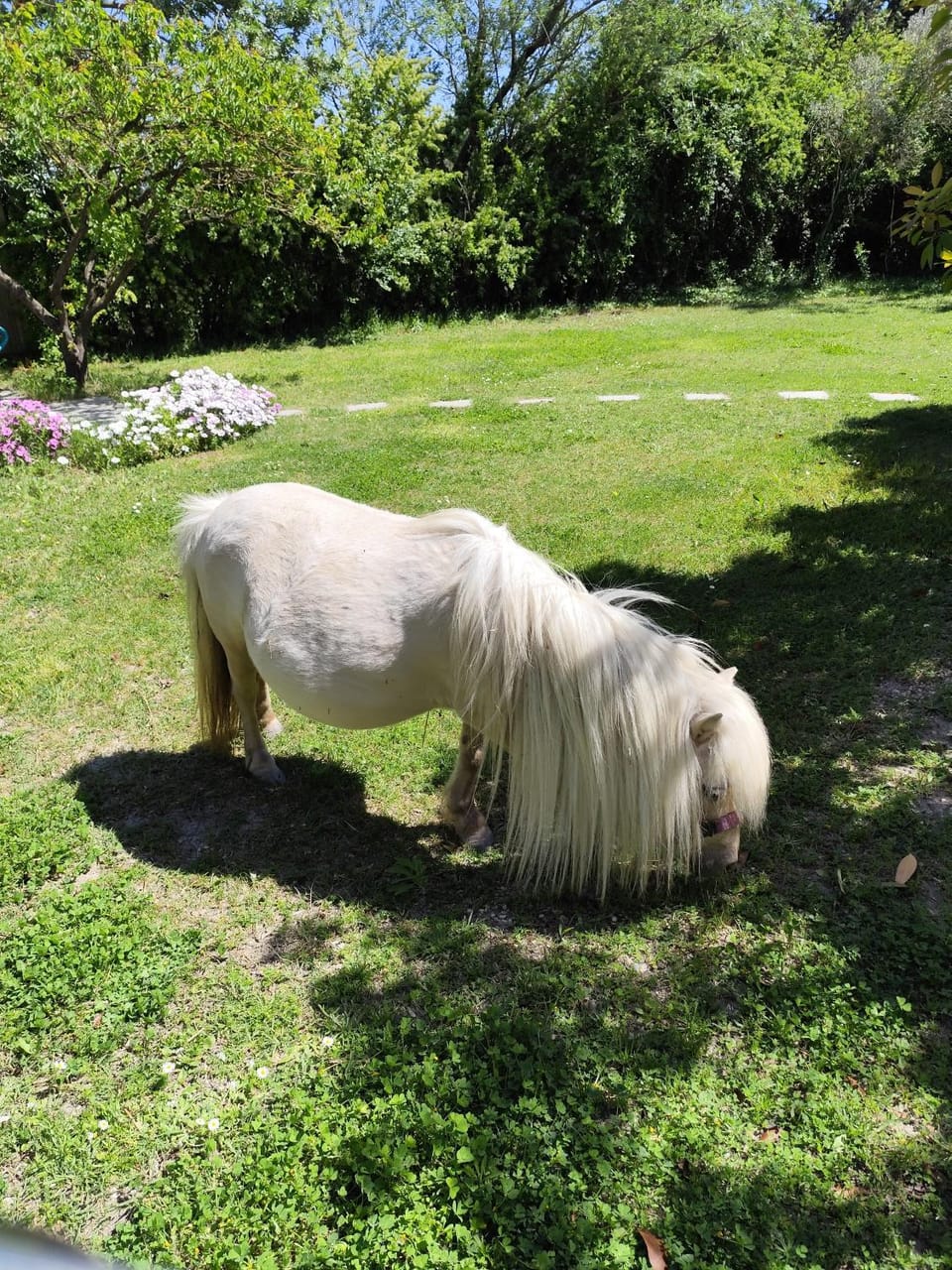 Gîte de charme Country House in Arles