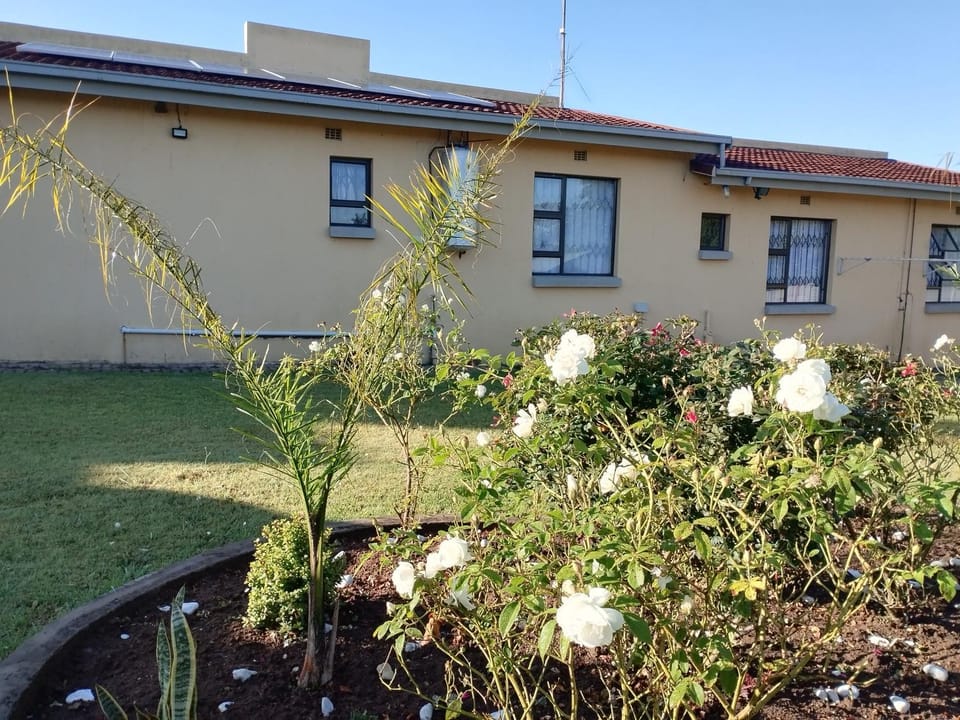 Property building, Garden, Garden view