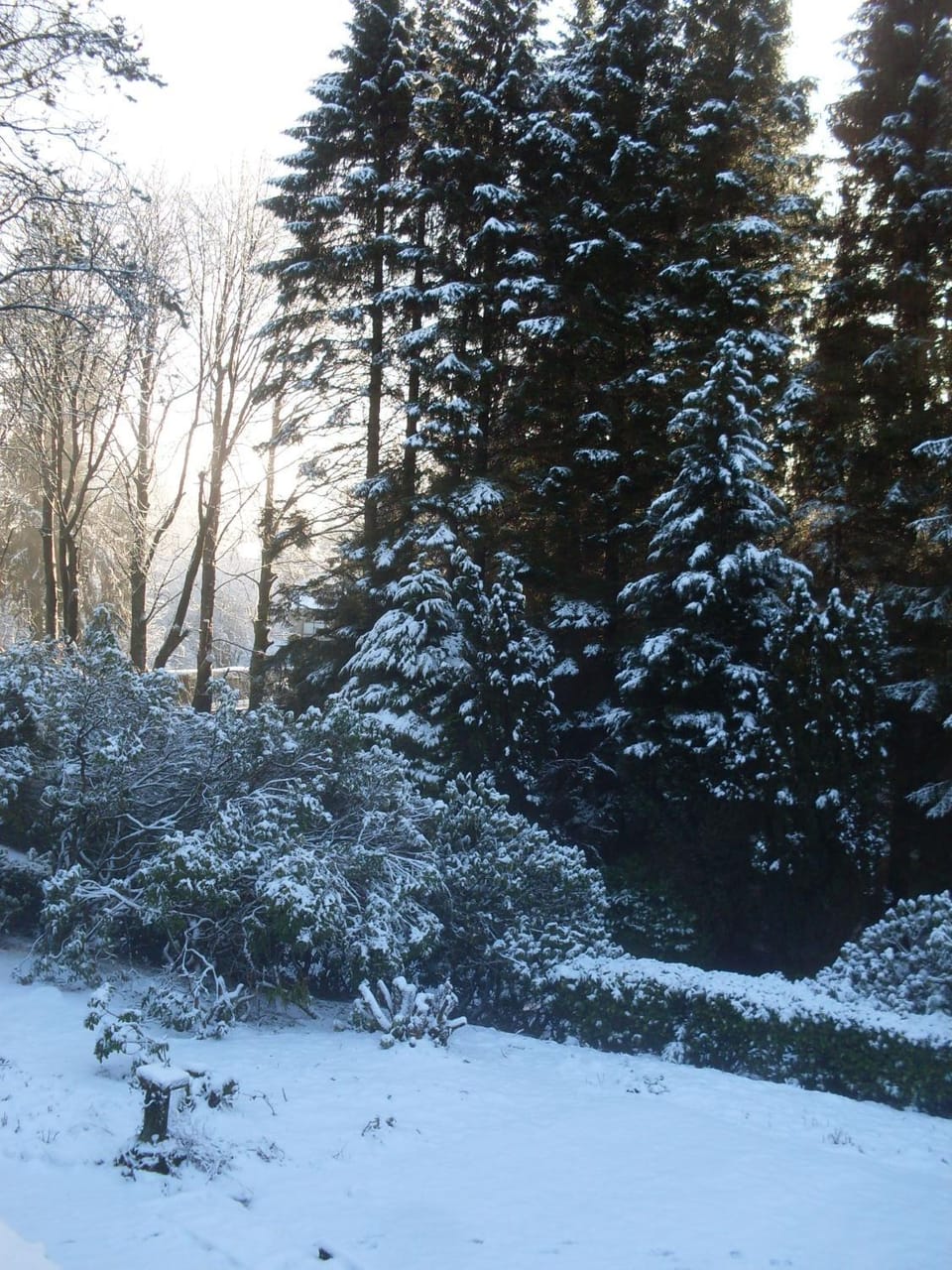 Winter