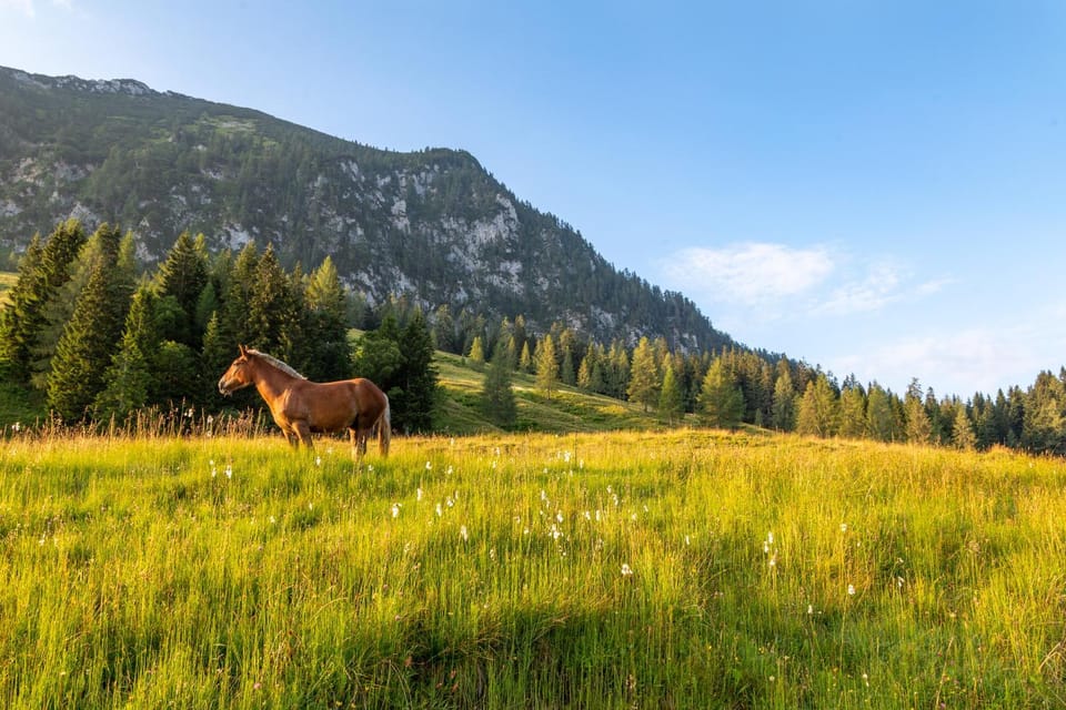 Natural landscape