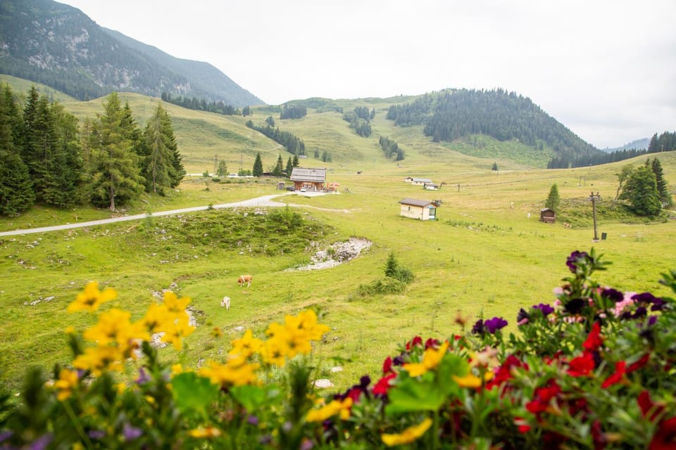 Natural landscape