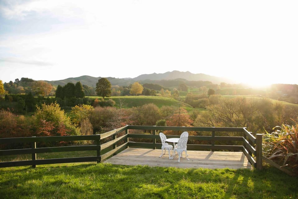 Patio, Mountain view