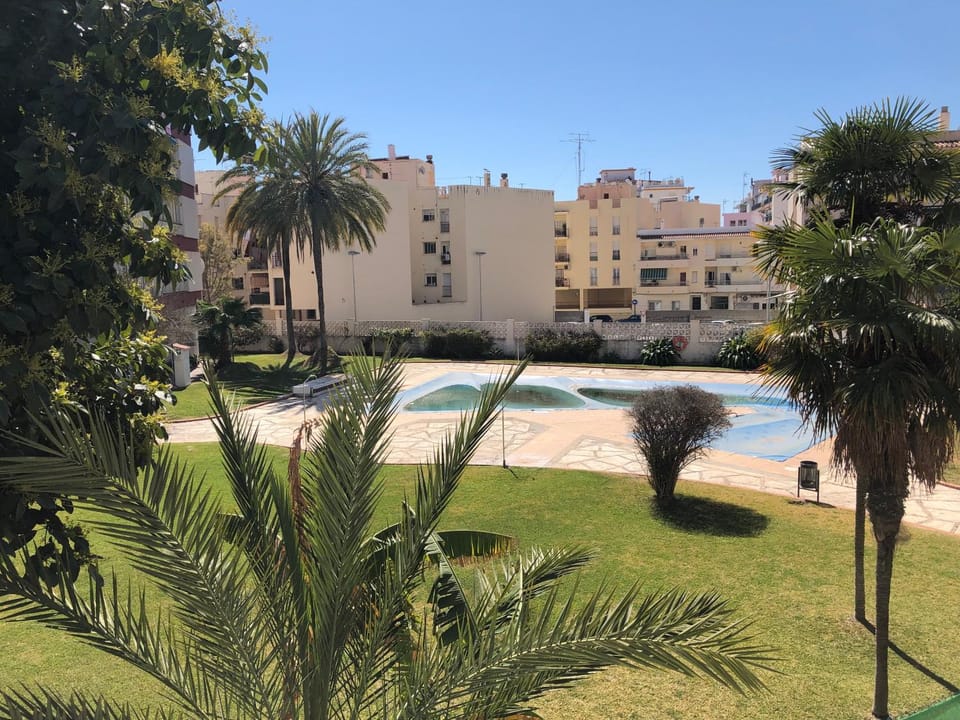 Garden, Pool view, Swimming pool