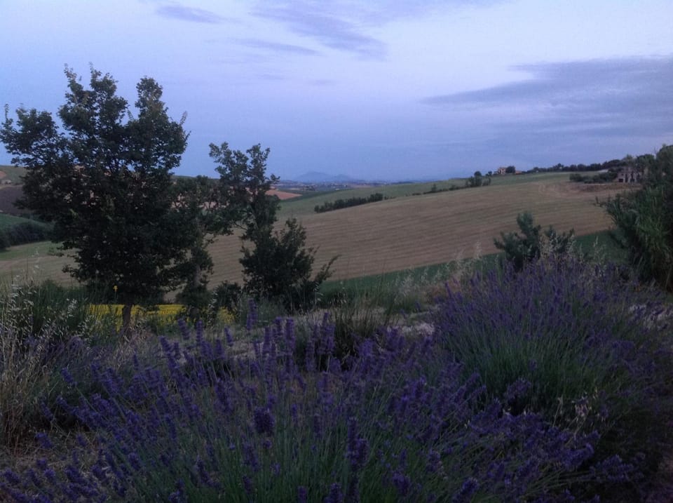 Natural landscape