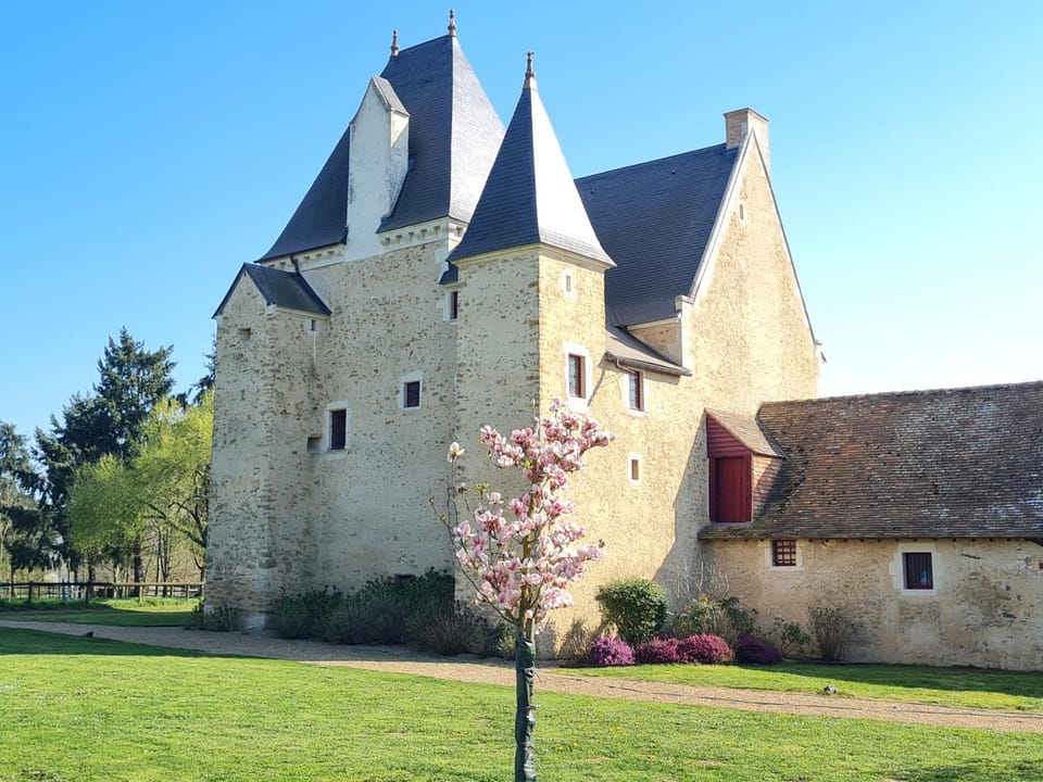 Property building, Garden, Garden view