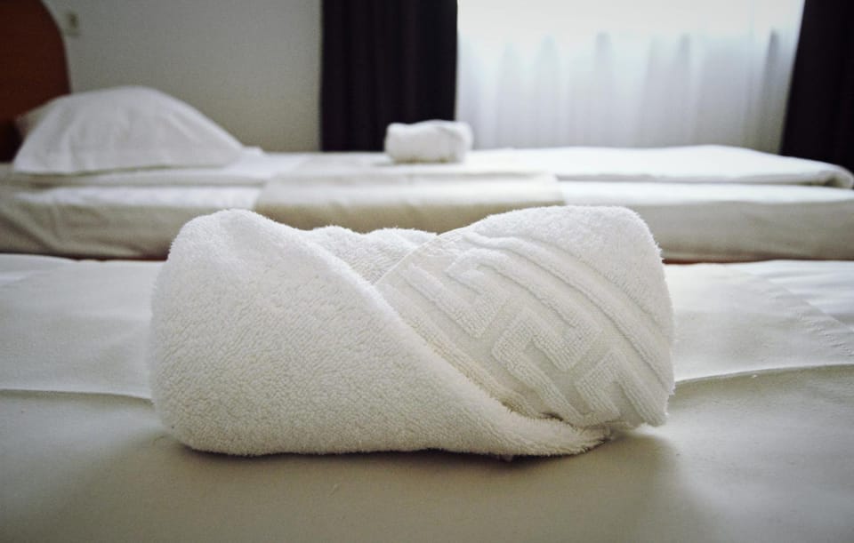 Pension Delia Gardens Bed and Breakfast in Timisoara