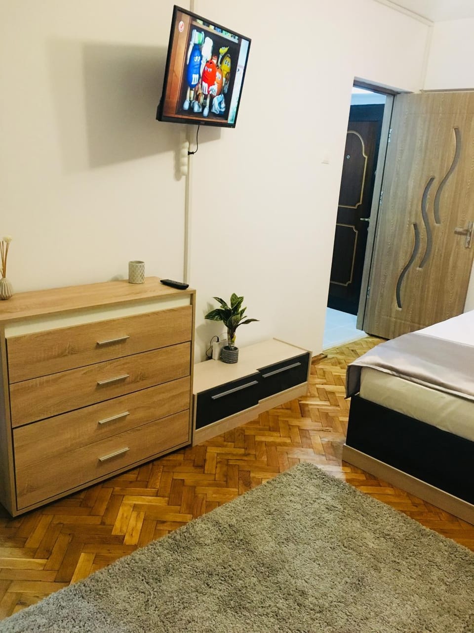 Ultracentral Studio Apartment in Craiova