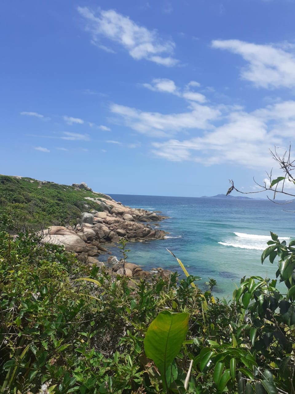 Natural landscape