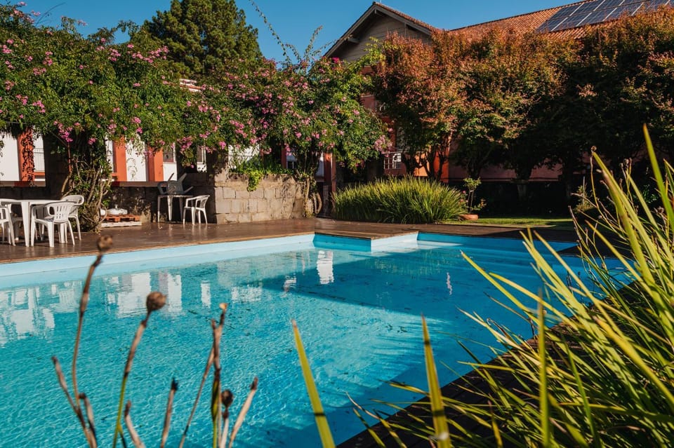 Day, Garden, Garden view, Pool view, Swimming pool