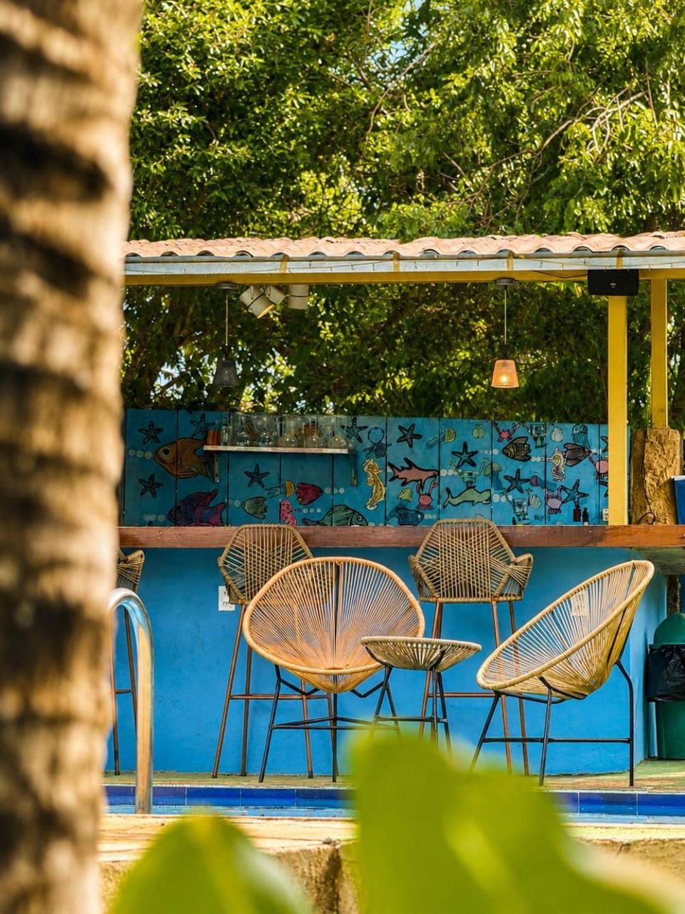 Lounge or bar, Spa and wellness centre/facilities, Swimming pool