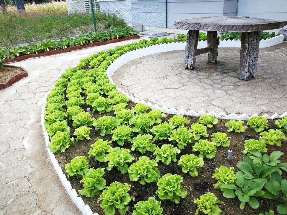 Garden, Balcony/Terrace