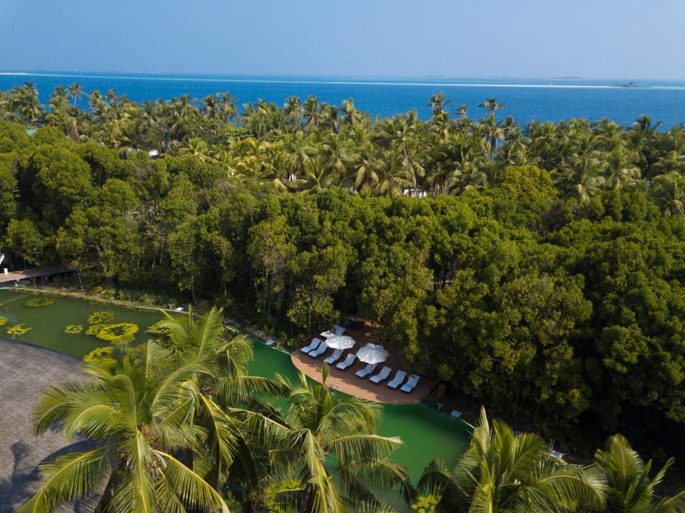 Bird's eye view, Pool view, Sea view