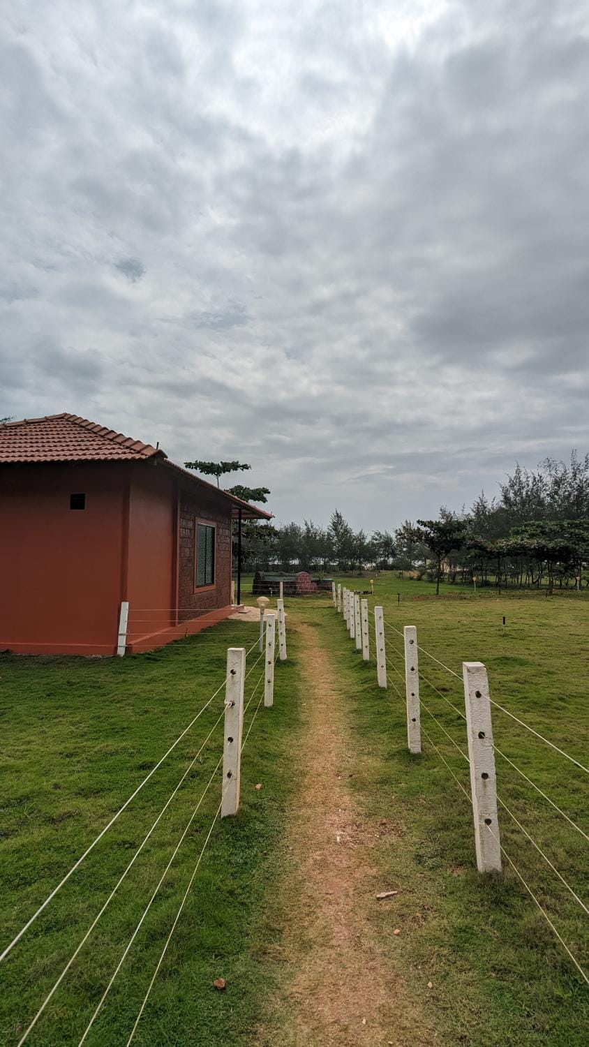 Garden view