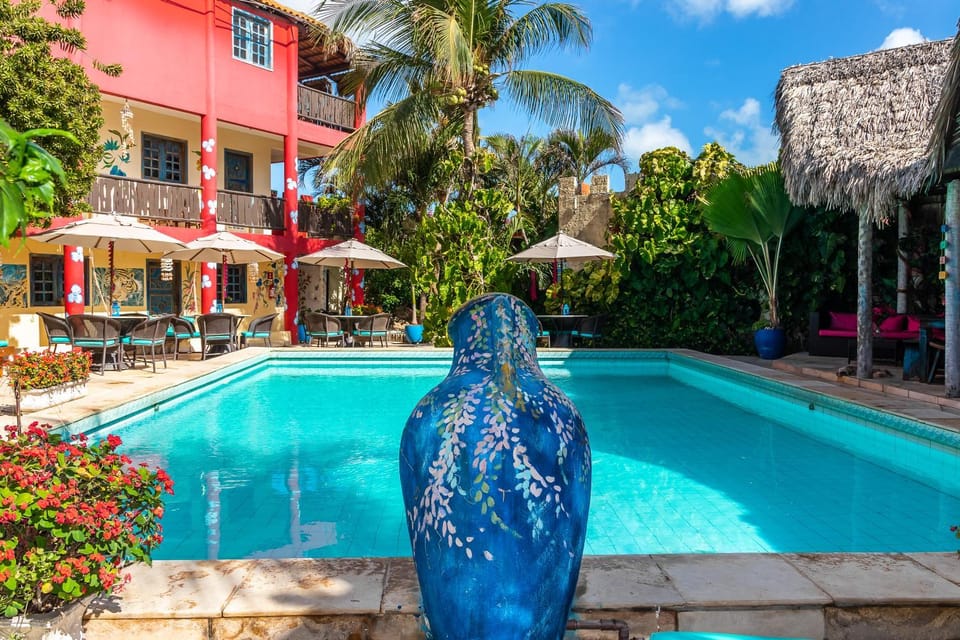 Day, Garden, Garden view, Pool view, Swimming pool, sunbed