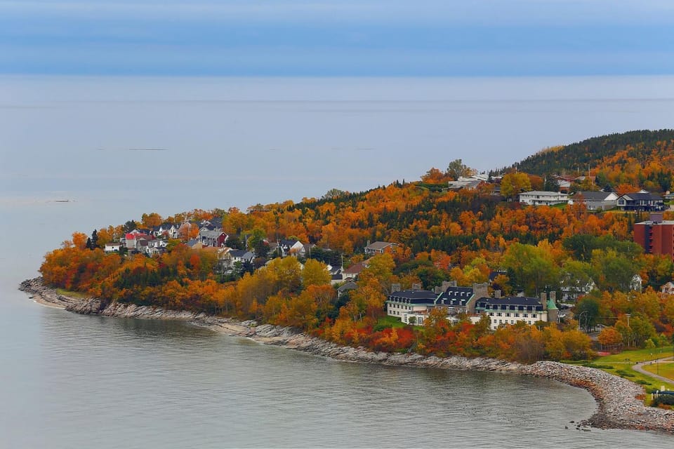 Day, Bird's eye view, Autumn