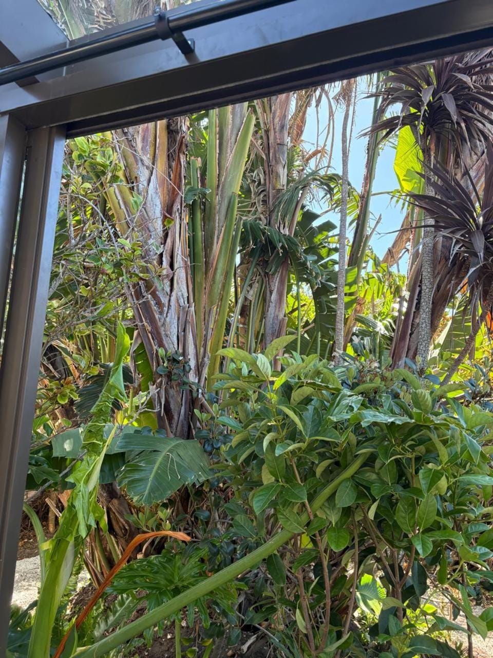 Natural landscape, Garden, Garden view