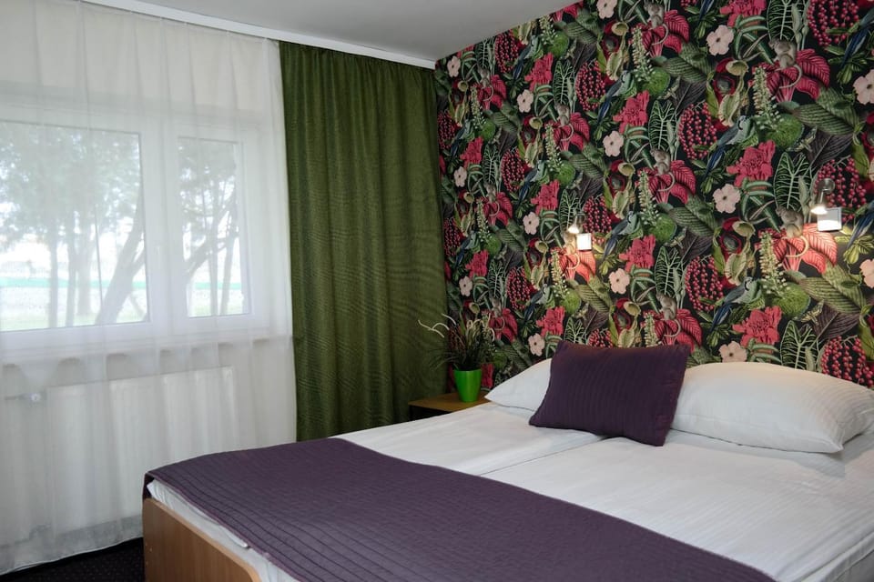 Bed, Photo of the whole room