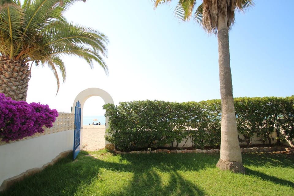 Patio, Garden, Garden view