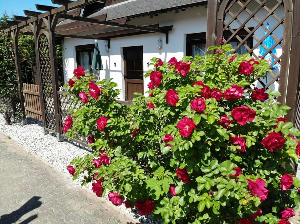 Ferienhaus Kreß rechts Apartment in Sellin