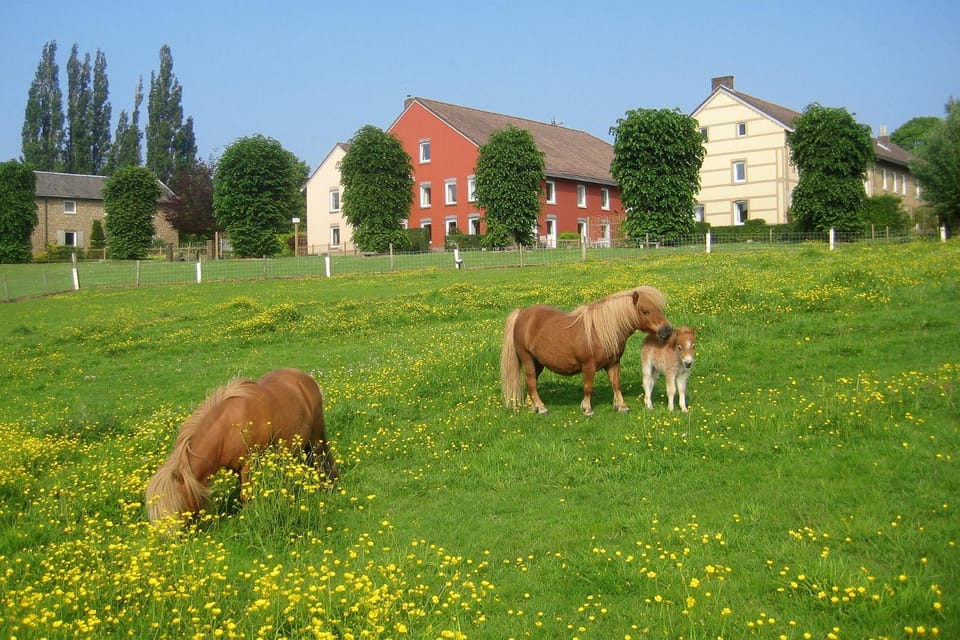 Facade/entrance, Spring, Day, Garden, Animals