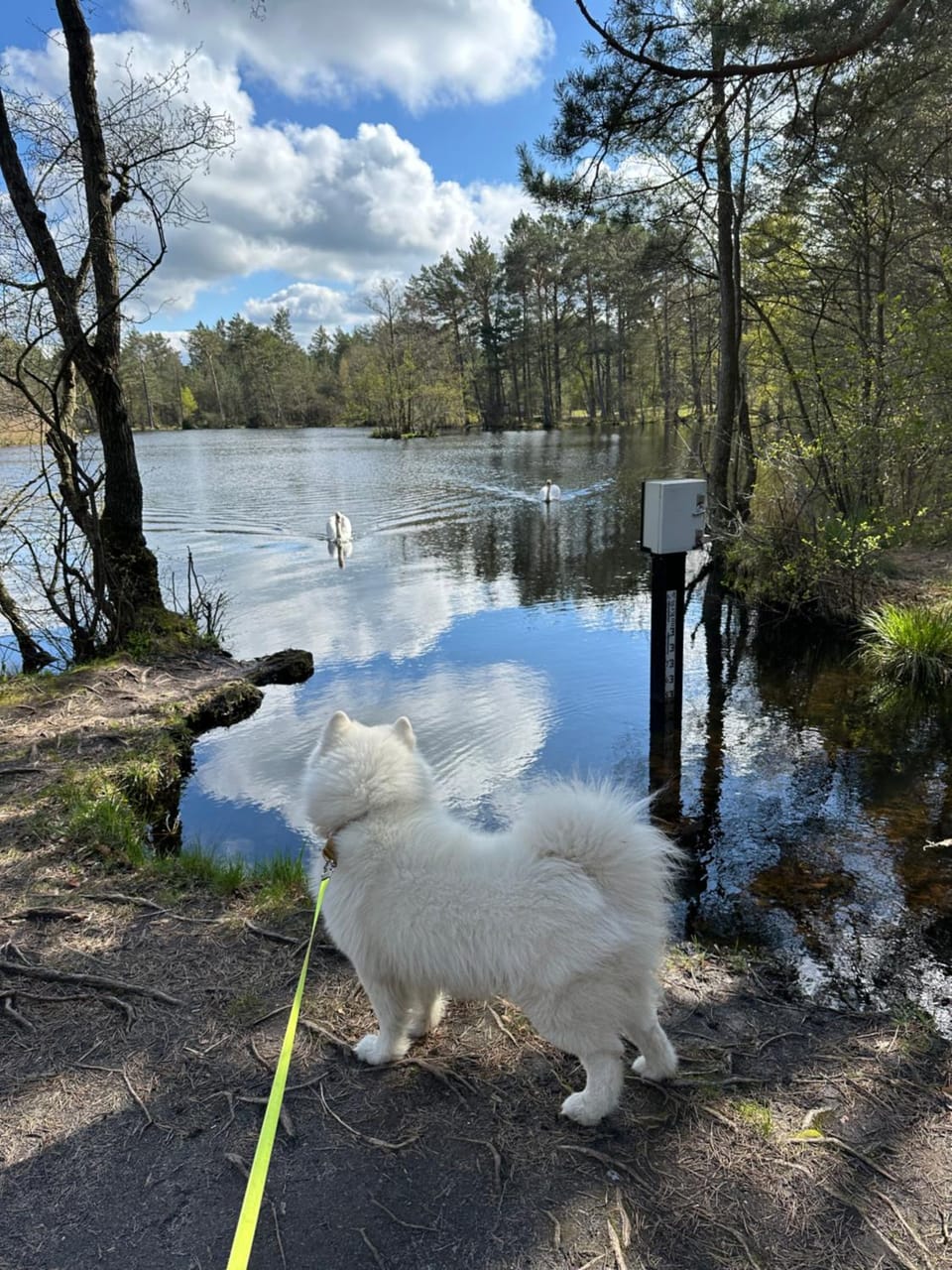 Domki Skandynawskie Kopalino House in Pomeranian Voivodeship