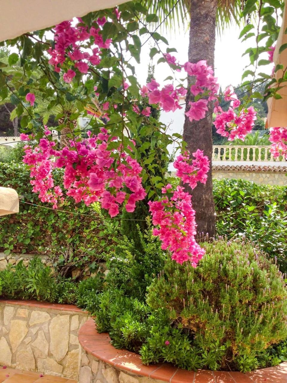Garden, Decorative detail