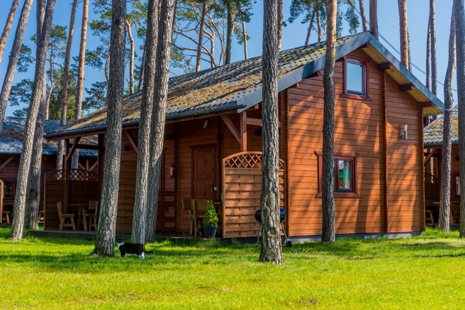 Natural landscape, Garden view