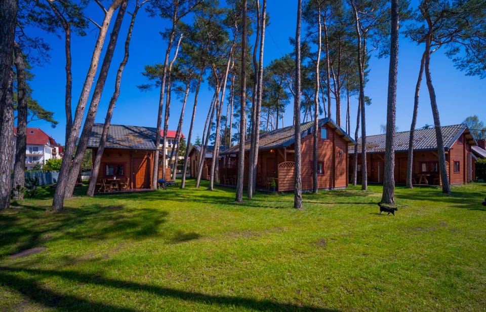 Natural landscape, Garden view