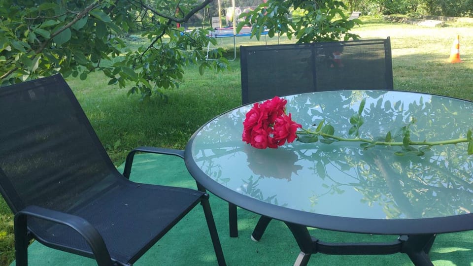 Зелена Вілла -басейн,тераса, квіти, сад Apartment in Slovakia