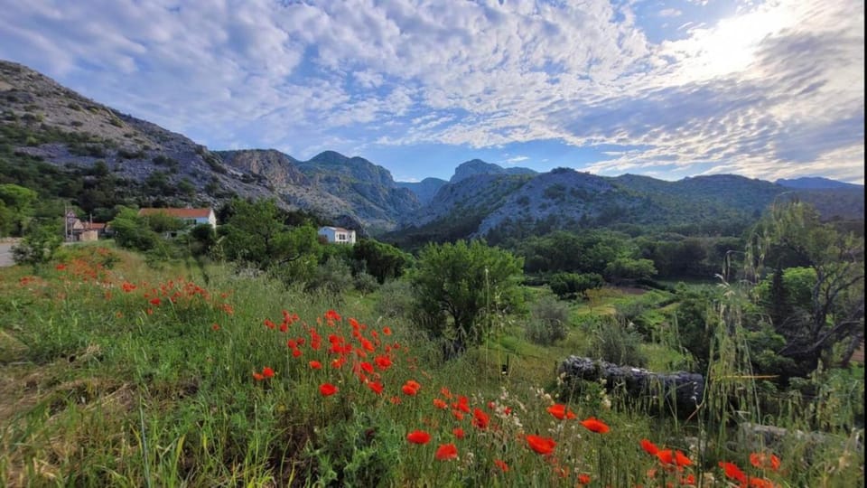 Apartments Paklenica Bed and Breakfast in Zadar County