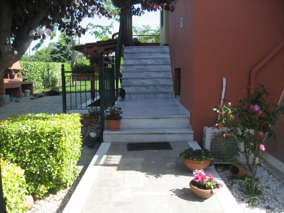 Facade/entrance, Garden