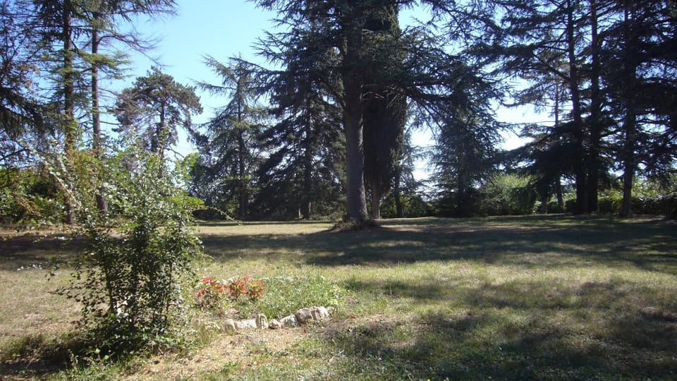 Natural landscape