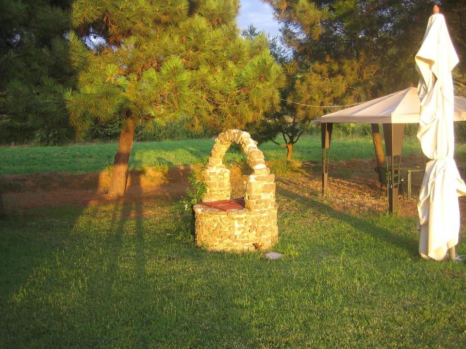 Day, Garden